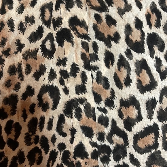 H&M SHEER CHEETAH BUTTON DOWN BLOUSE (6) - Picture 3 of 8